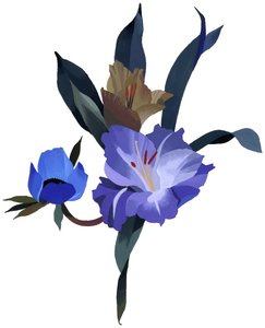 Immagine sconosciuta